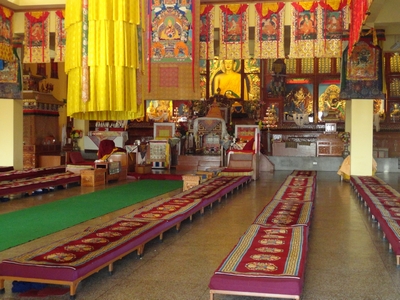 Around Osho Nisarga