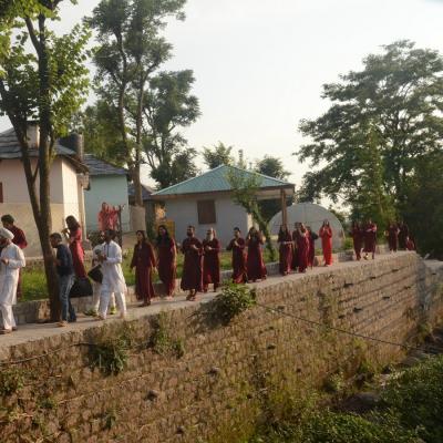Ma Neelam Ashthi Visarjan 14