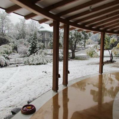 First Snow (7th Jan'12)