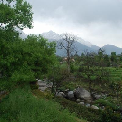 Landscapes 17